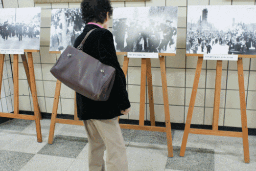 제51주년 4·19혁명기념 특별 사진전 이미지